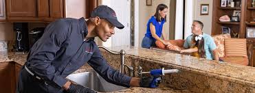 Professional Pest control in Lathrup Village, MI